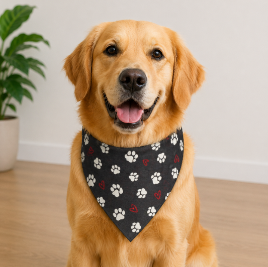 Over-the-Collar Dog Bandana | Handmade Pet Accessory